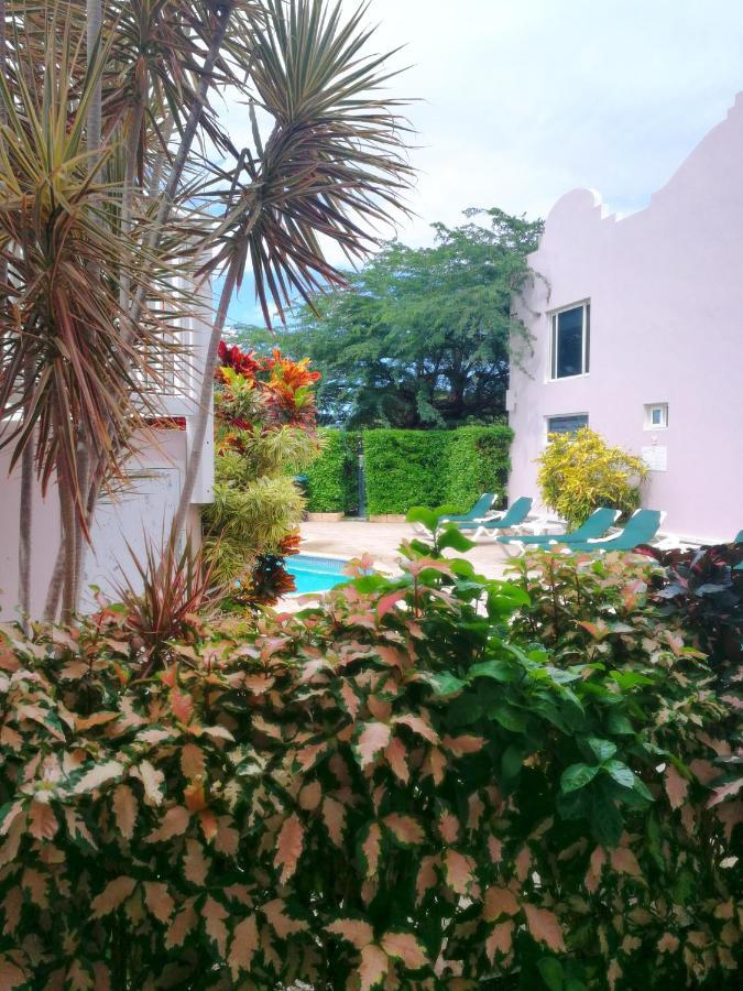Agua Clara Eco Suites Oranjestad Luaran gambar